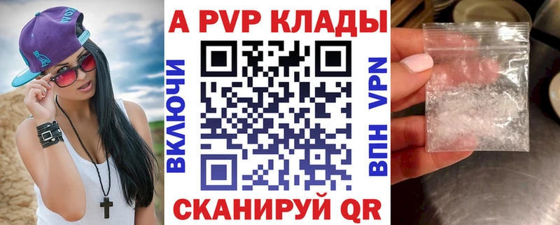 Alfa_PVP СК Терек