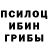 Галлюциногенные грибы мухоморы Tyzhay Nataliya