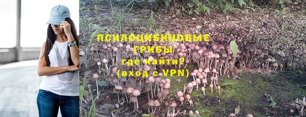 спиды Михайловск